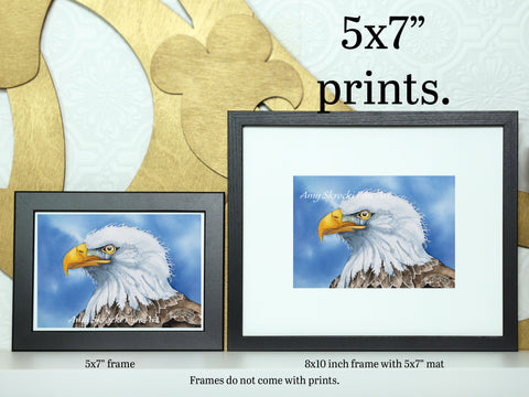 Bald Eagle Watercolor Print – Bird Wall Art – I See You from the Window