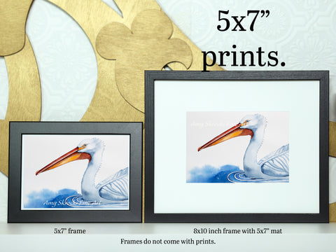 White Pelican Watercolour Print – Bird Art – A Pelican at Big Lake