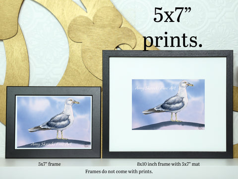 Seagull Watercolour Print – Coastal Bird Art – Parking Lot King